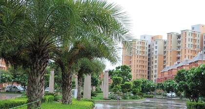 Experience little Japan in National Capital Region(India) - Weekend Gateway