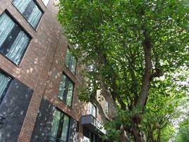 Vista desde la habitación