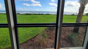 A view through a window of a grassy field and a tree, with a clear sky and clouds. - Sand Dollar 101 (St. Augustine)