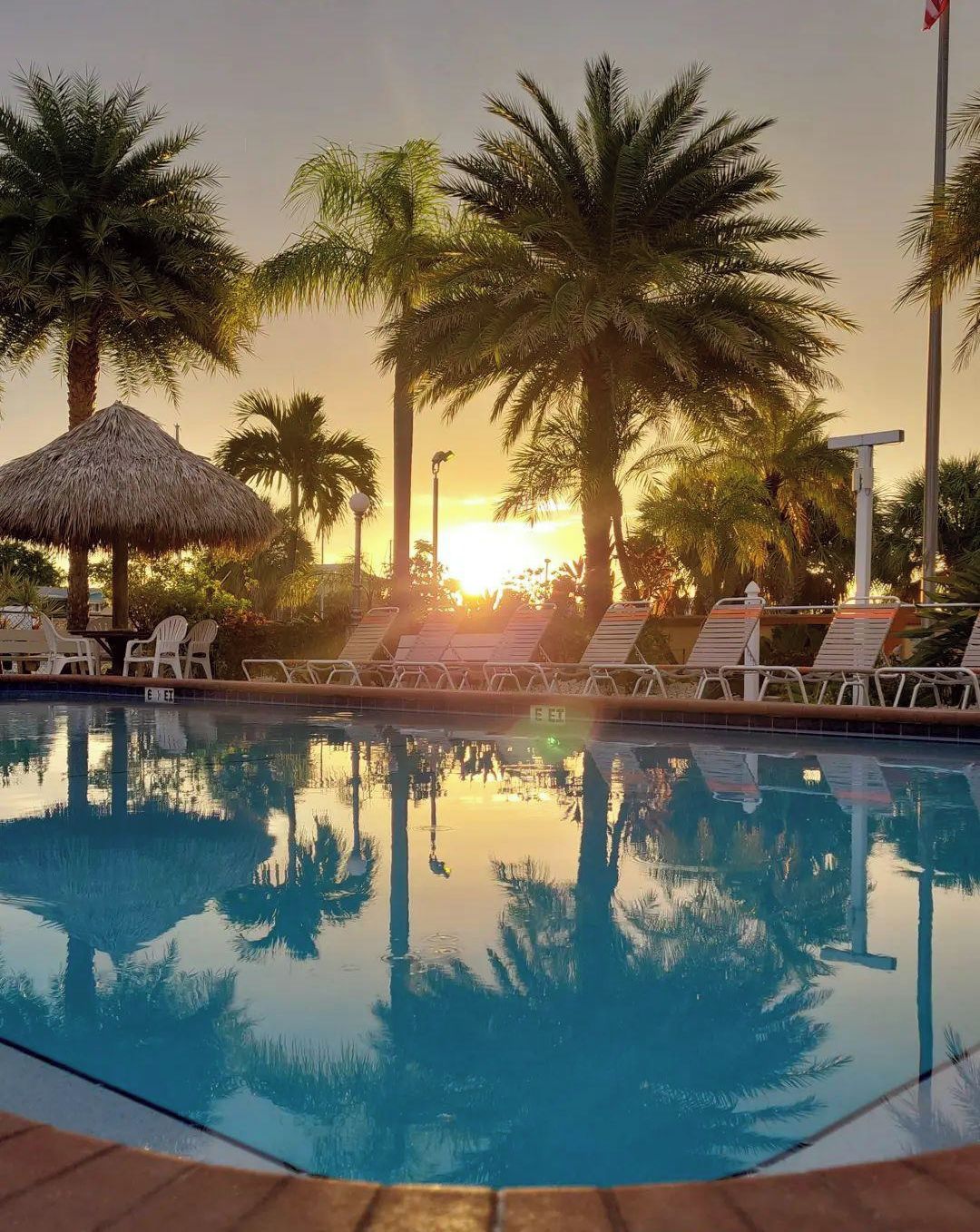 Vista a la piscina con sillas de descanso, palmeras y un atardecer.