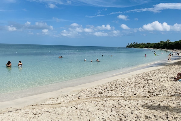 Plage à proximité, chaises longues, serviettes de plage