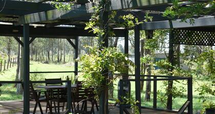 1 Bedroom Cottage, overlooking the Vineyard