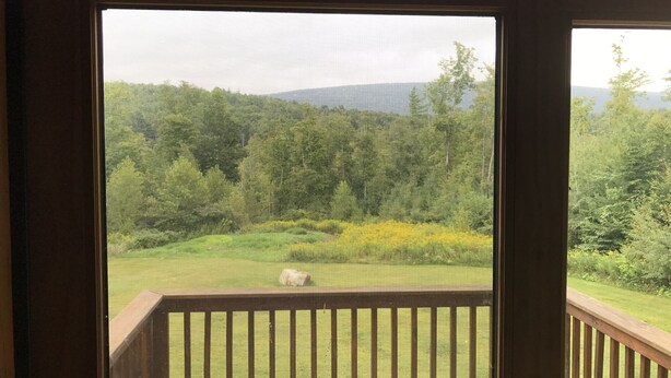 Blick von einem Balkon mit Holzgeländer auf eine begrünte Fläche mit Bäumen und einem fernen Gebirge.