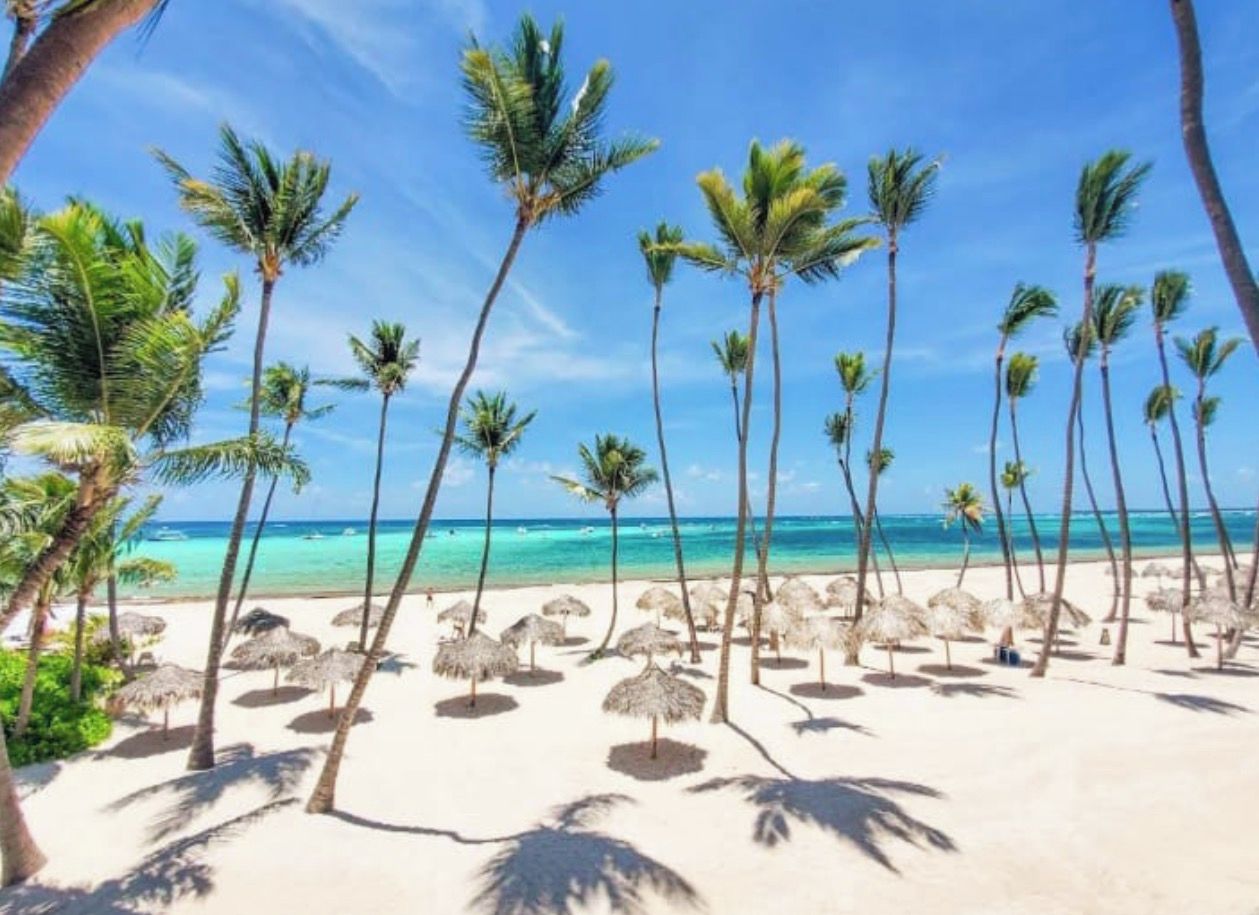 Een strand met palmbomen en rieten parasols.