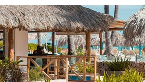 Eine Strandlounge mit Reetdachschirmen, Liegestühlen und einem Poolbereich.