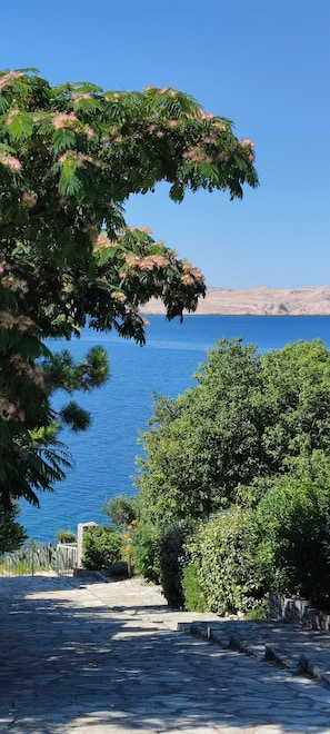 Property grounds - Imanje uz plažu sa tenis igralištem i bazenom: Unit A2 (Karlobag)