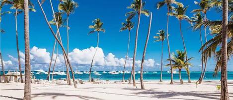 Playa en los alrededores, camastros y toallas de playa