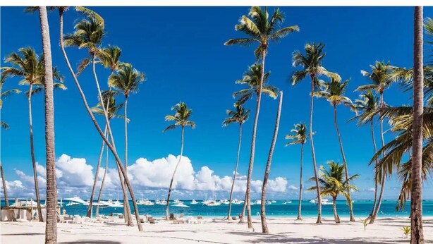 Una playa con palmeras y barcos al fondo.