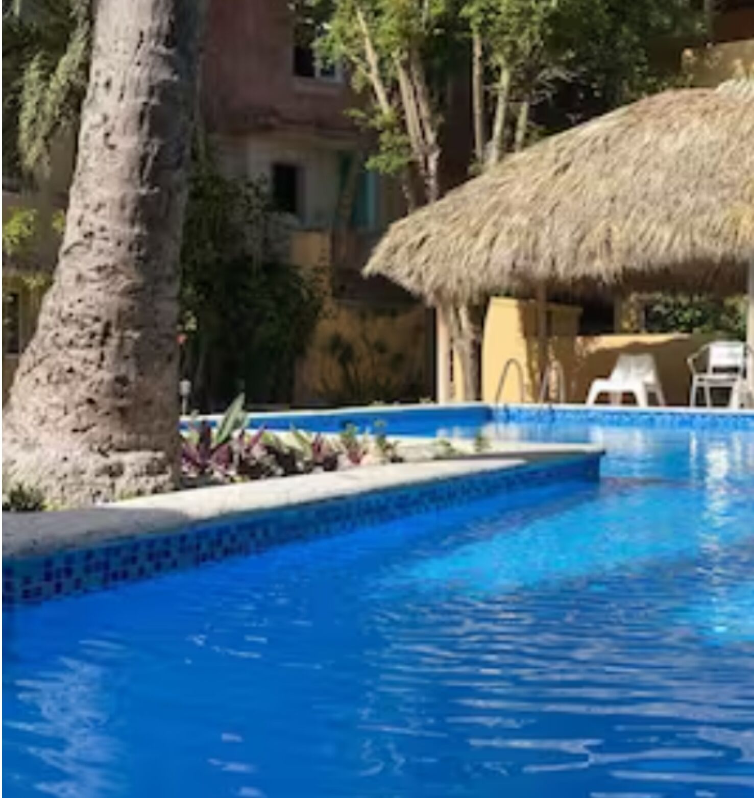 A swimming pool with a thatched roof structure, surrounded by trees and a building with a rustic appearance.