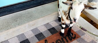 The Farmhouse at Sundrop Acres