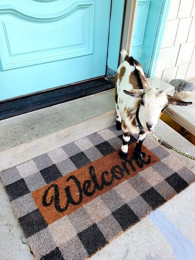 The Farmhouse at Sundrop Acres