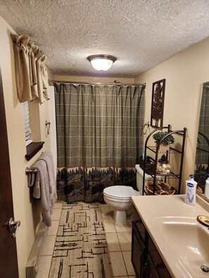 Combined shower/bathtub, hair dryer, towels