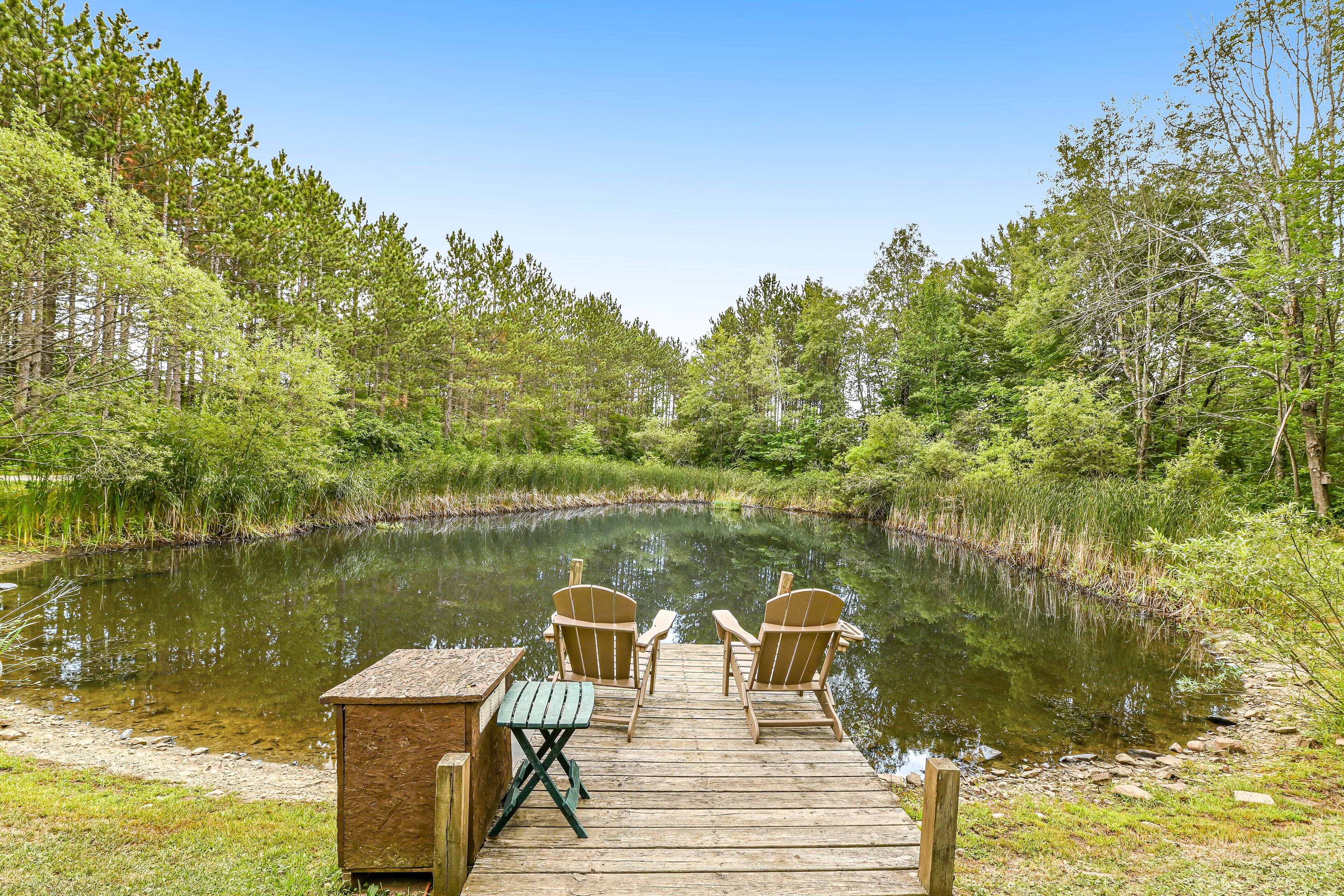 Secluded Dog-Friendly Studio w/Deck, Private Pond, Fireplace, Fast WiFi, Views