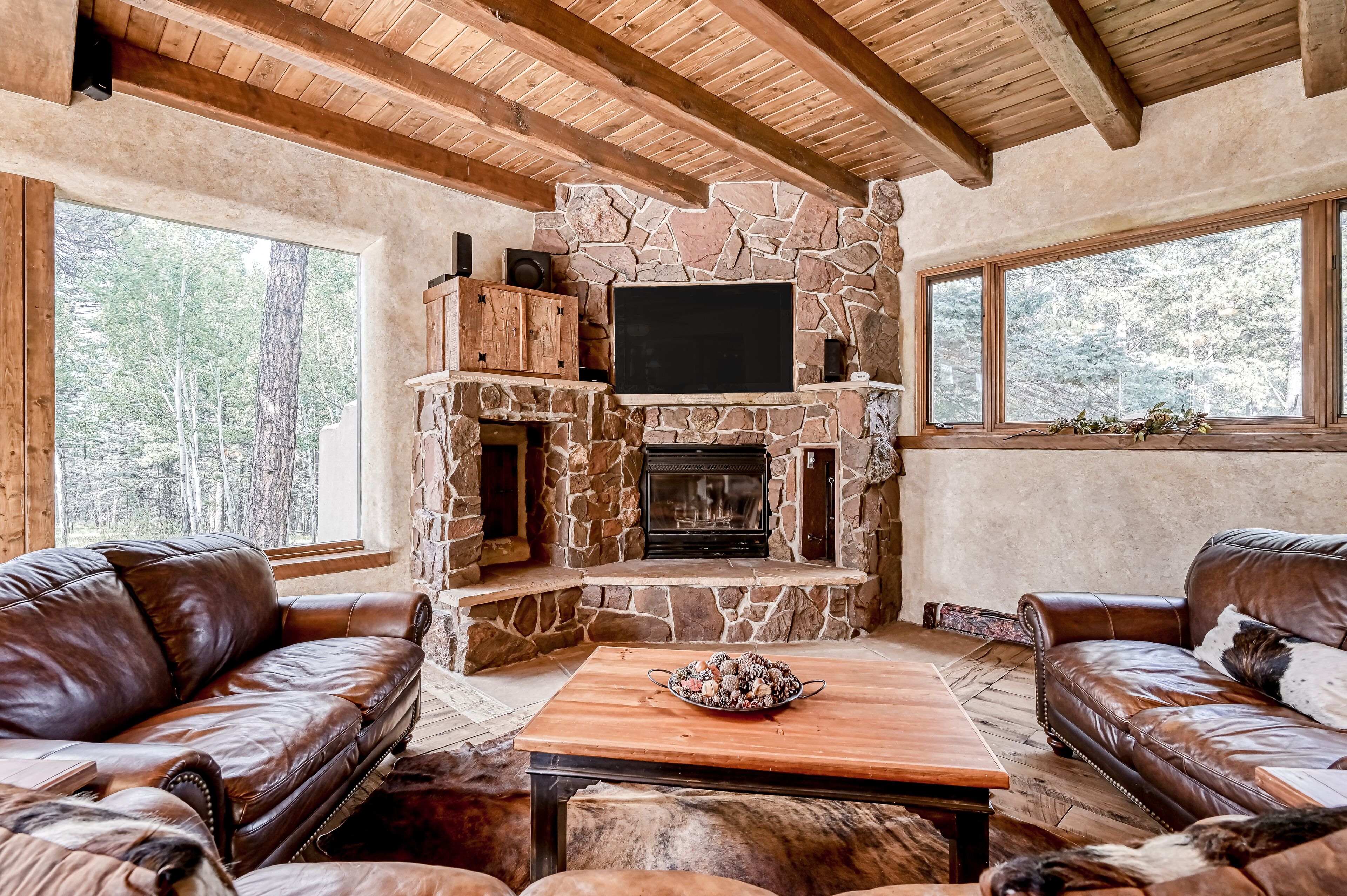 TV, fireplace, video games, books