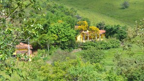 Une maison de campagne entourée d’une végétation luxuriante et de collines.
