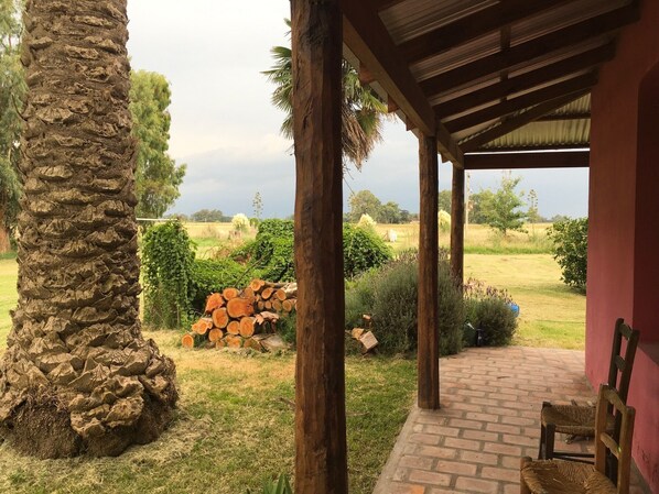 Terrace/patio - Cottage (Las Flores)