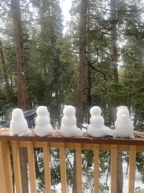Property grounds - Beautiful cabin 2 story with 2 decks, near Lake Gregory, Lake Arrowhead.  (Crestline)