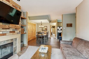 TV, fireplace, books