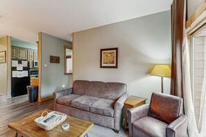 TV, fireplace, books