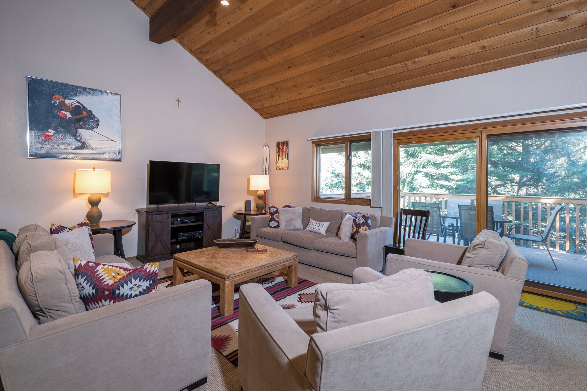 智能电视、壁炉、DVD 播放器、书