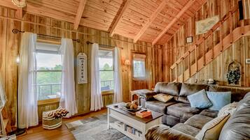 Télévision, cheminée, livres