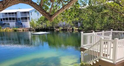 Free Golf Cart Free Kayaks Steps to Pool Pickleball