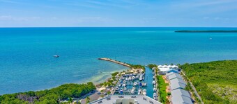 Free Golf Cart Free Kayaks Steps to Pool Pickleball