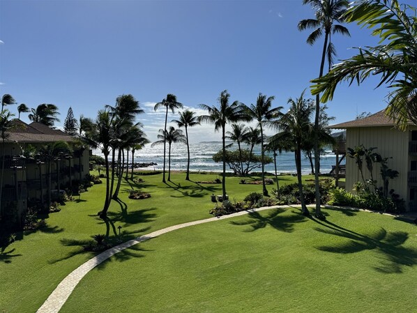 Property grounds - Lae Nani 432. Your Enchanting Accommodation in Paradise Awaits!! (Kapaʻa)