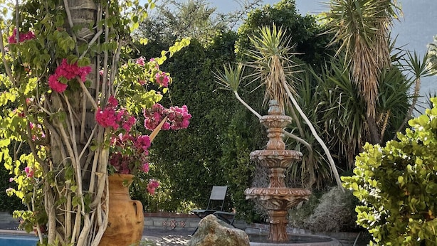 A garden with a fountain, lush greenery, and a mountain in the background.