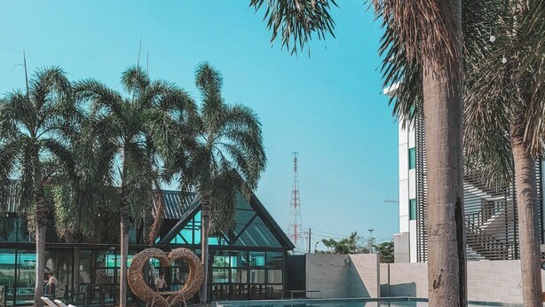 Área de piscina com espreguiçadeiras, palmeiras e um edifício de design moderno.