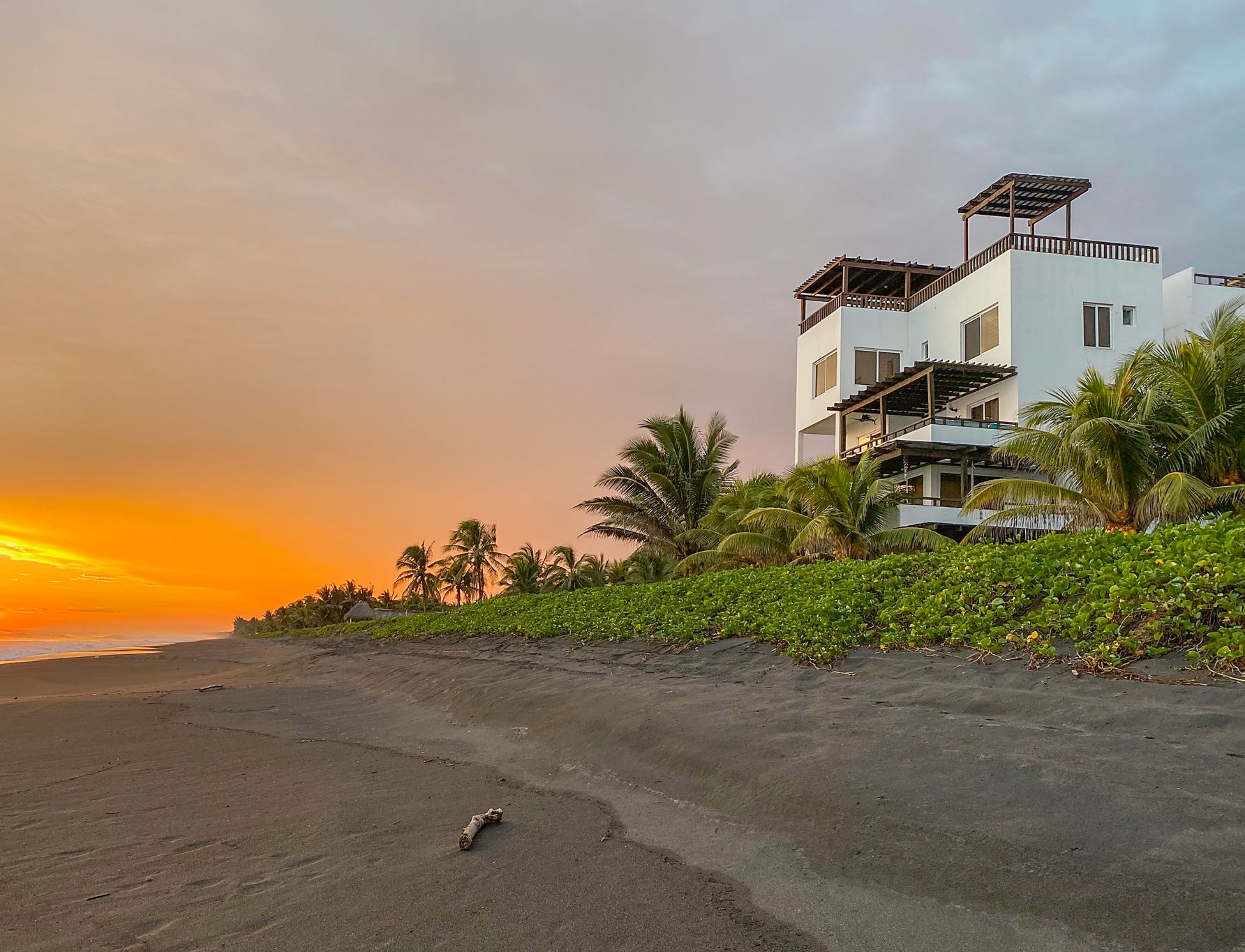 Una propiedad frente a la playa con un edificio moderno de varios pisos, una playa arenosa y palmeras.