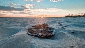 Miscellaneous - Pets? YES! Just steps from the beach! (Mexico Beach)