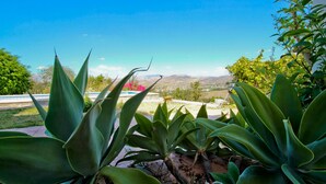 Une terrasse agrémentée de grandes plantes vertes, un ciel d’un bleu limpide et une vue lointaine sur les montagnes.
