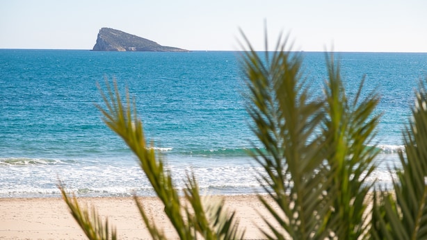 A beach with clear blue water, a distant rocky island, and palm fronds in the foreground.