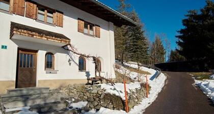 Haus Stein