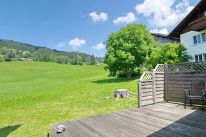 Unclassified image, 4 of 15, button - Falkenstein (Rettenberg)