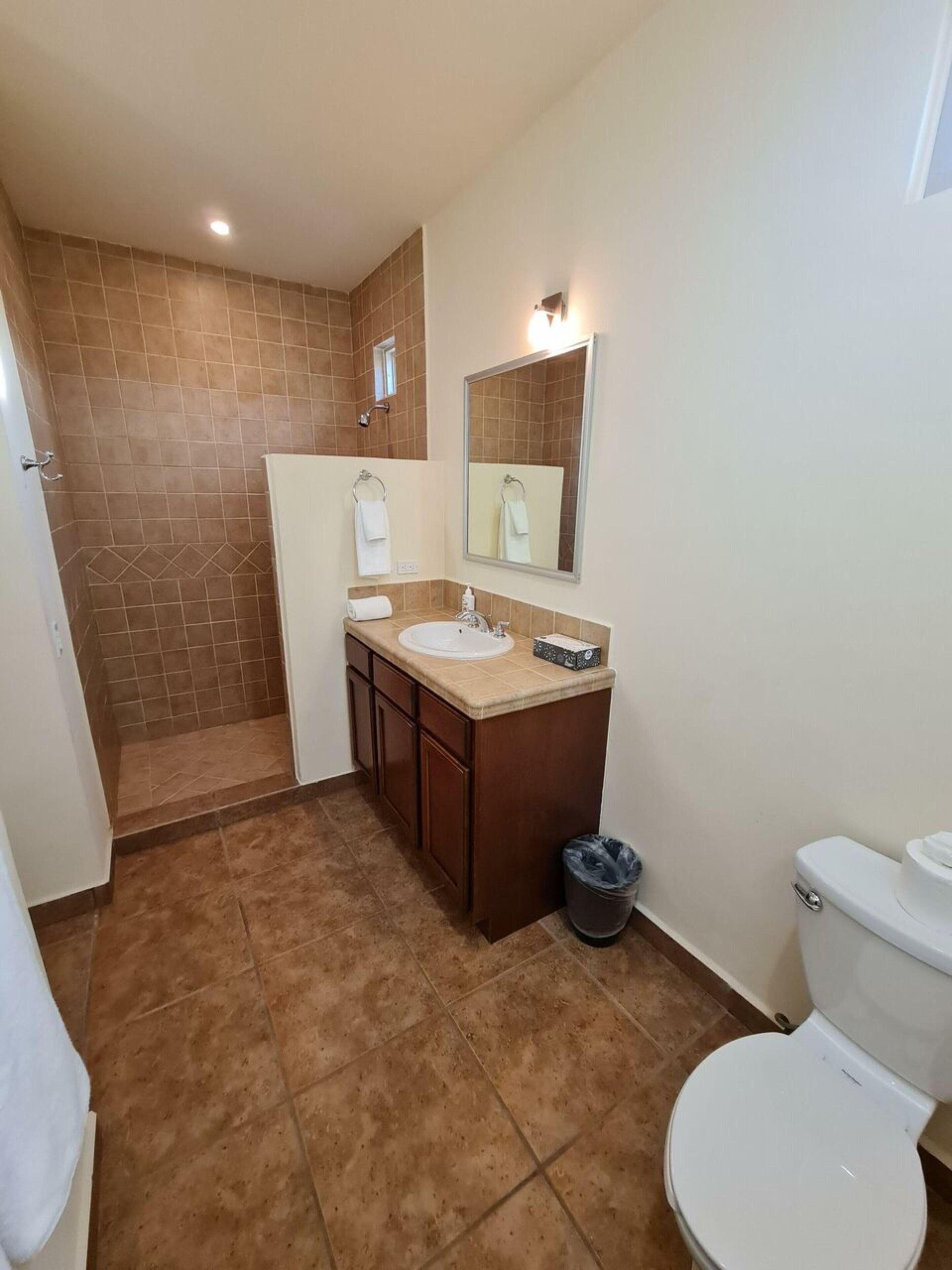 Et badeværelse med bruser, håndvask, spejl og toilet.