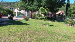 A residential area with a large tree, a small garden, and a fence.