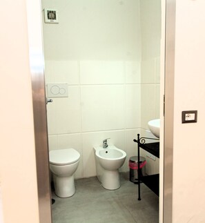 Shower, hair dryer, bidet, towels