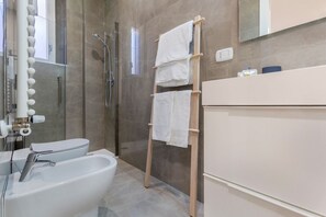 Regadera, secadora de cabello, bidet, toallas