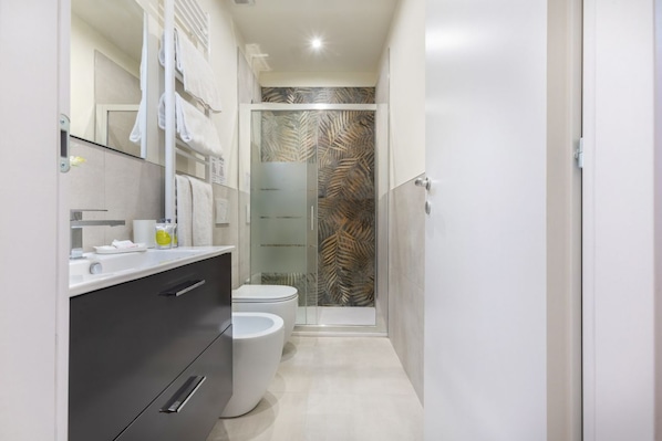Shower, hair dryer, bidet, towels