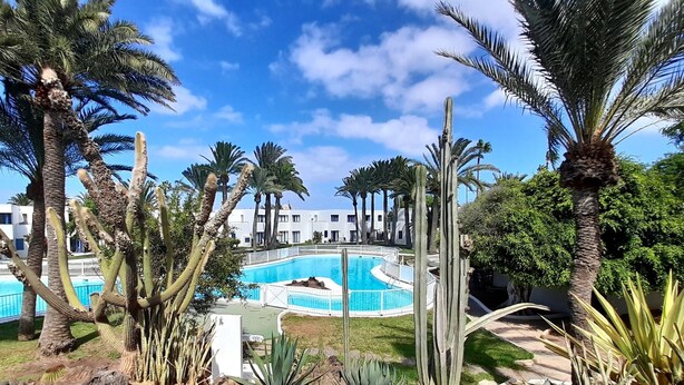 A pool surrounded by palm trees and a white building with a curved roof. - An oasis in the center of Corralejo! (Corralejo - Fuerteventura)