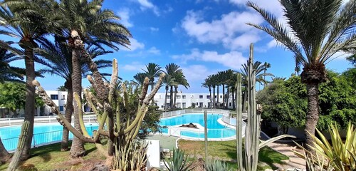 An oasis in the center of Corralejo!
