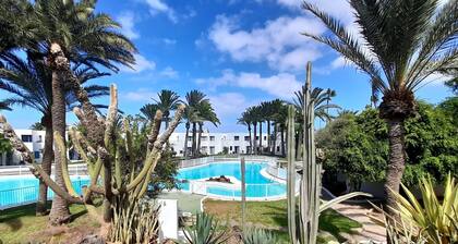 An oasis in the center of Corralejo!