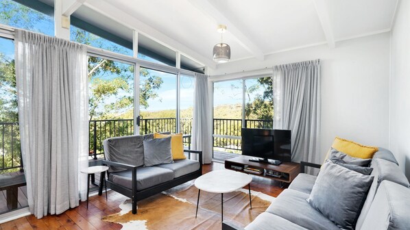 TV, Netflix, streaming services