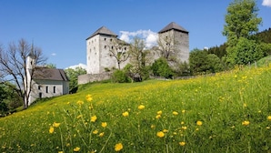 A historic stone castle with two towers, surrounded by lush green fields and trees. - House no More for Rent (Zell am See)