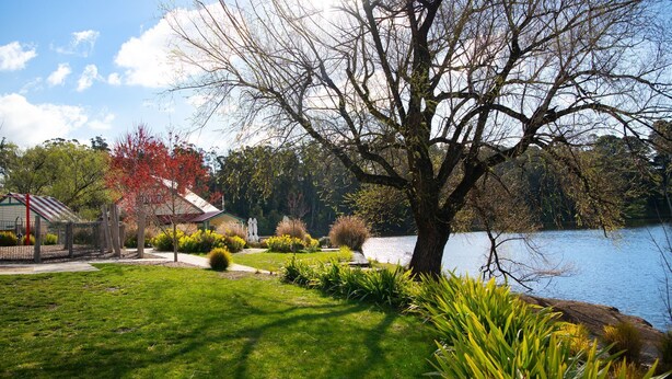 Une propriété située au bord d’un lac, avec une pelouse verdoyante, un grand arbre et un bâtiment doté d’un toit rouge.