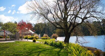 Lakewood-stylish design, great location