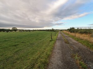 A rural road with a fence on one side and a grassy field on the other.