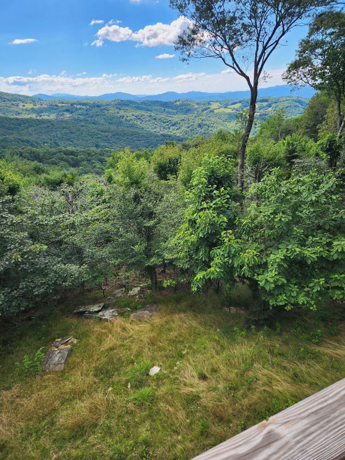 A lush green landscape with a clear view of distant mountains and a wooden fence in the foreground.